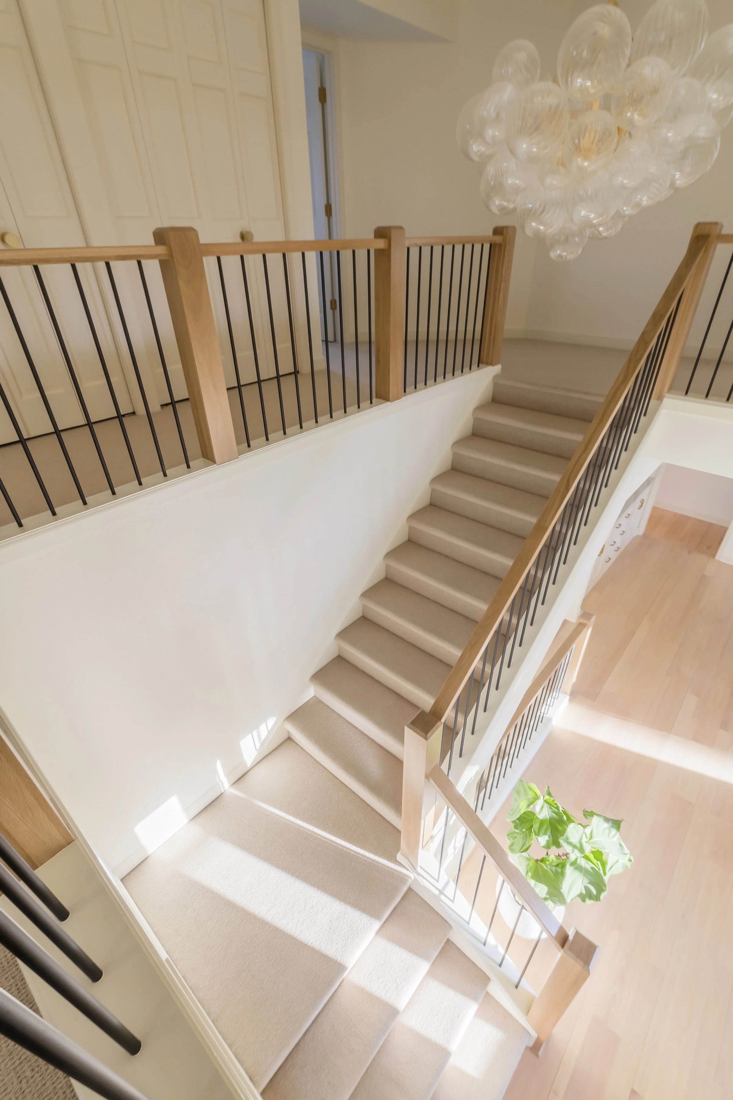 View looking down the staircase with beige carpeted stairs, wooden handrail, black metal balusters, white walls, and a small potted plant with green leaves at the bottom of the stairs. A glass chandelier is hanging from the ceiling to the right.