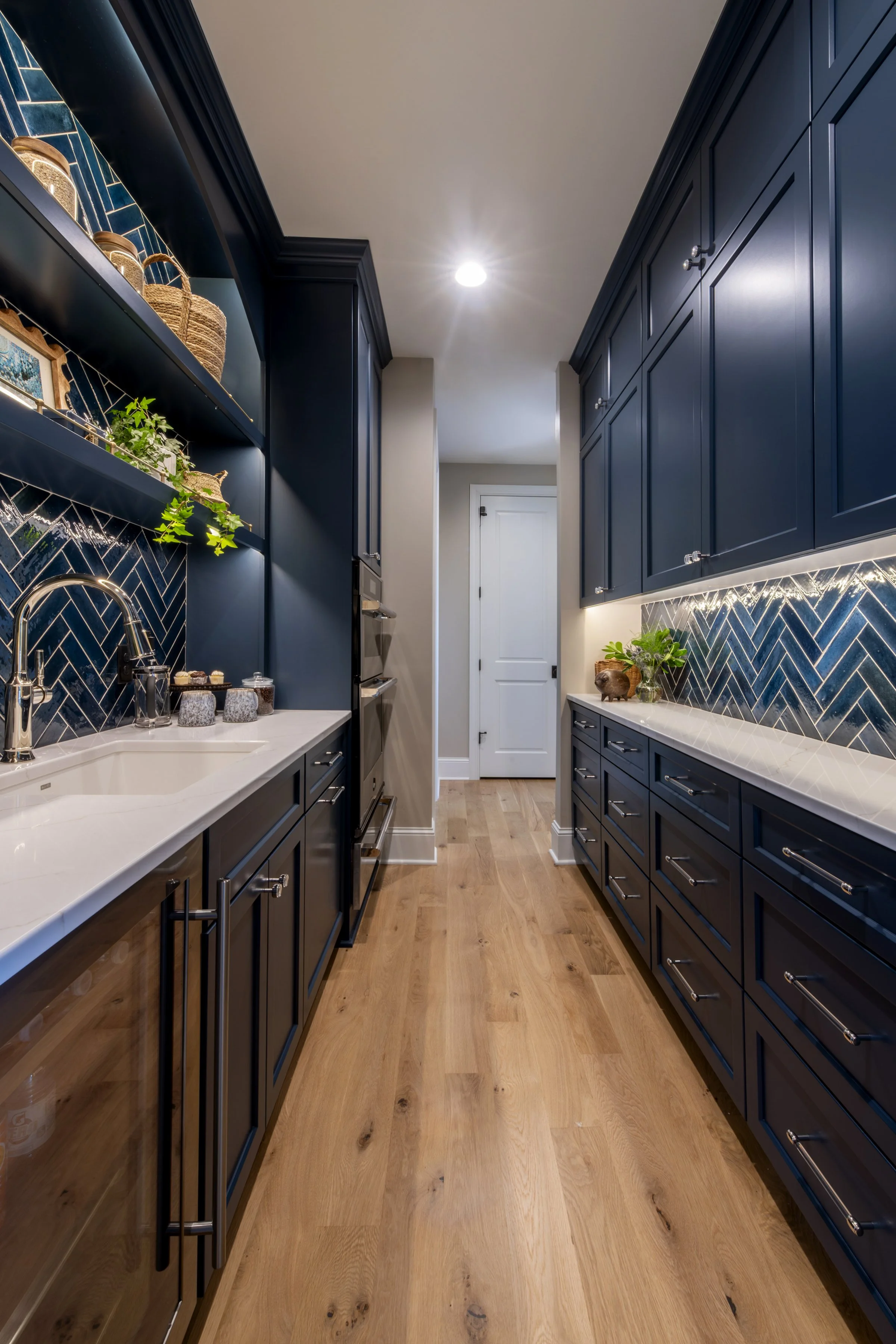 Pantry remodel in Wayzata