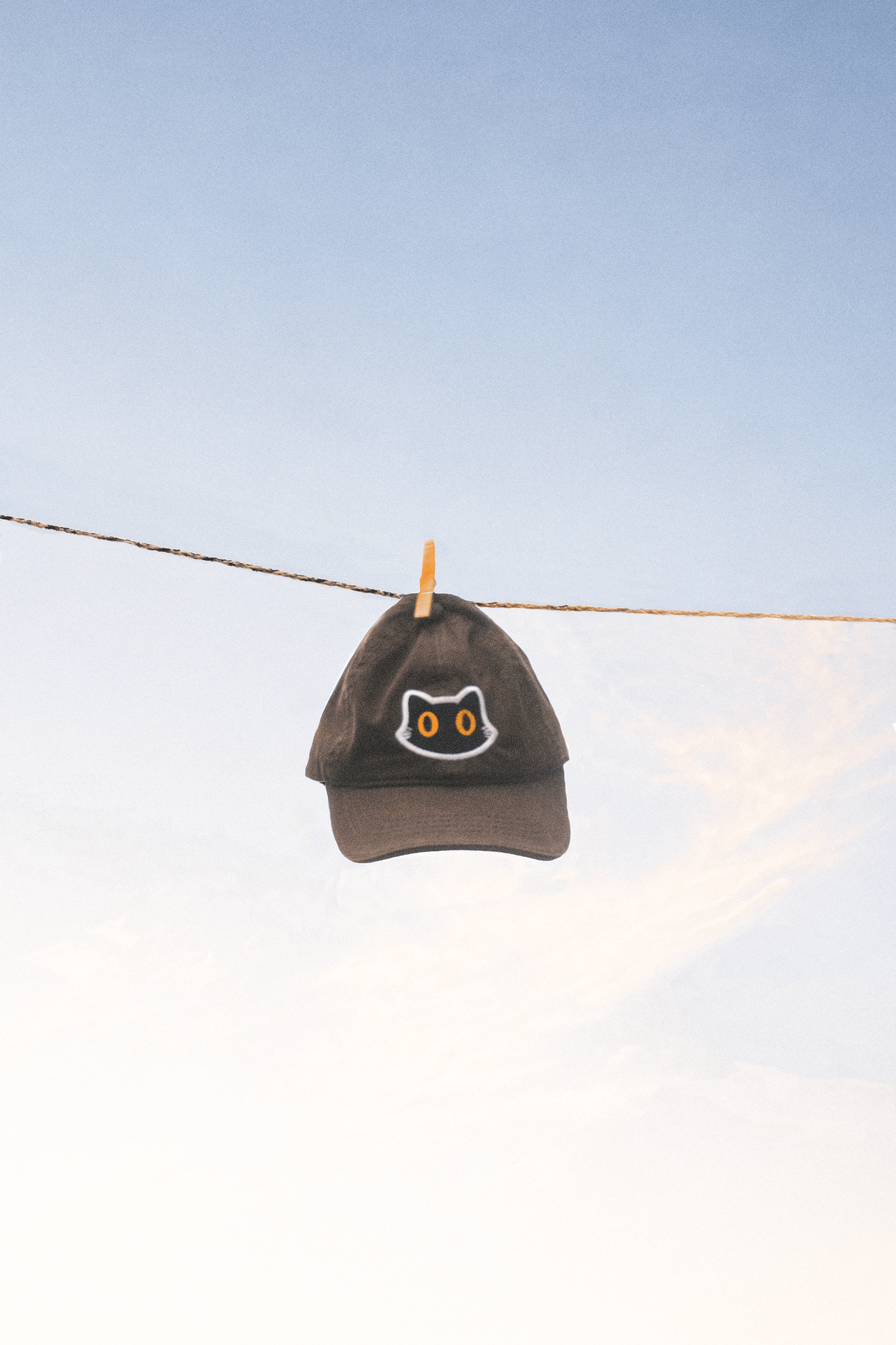 Gorra gato