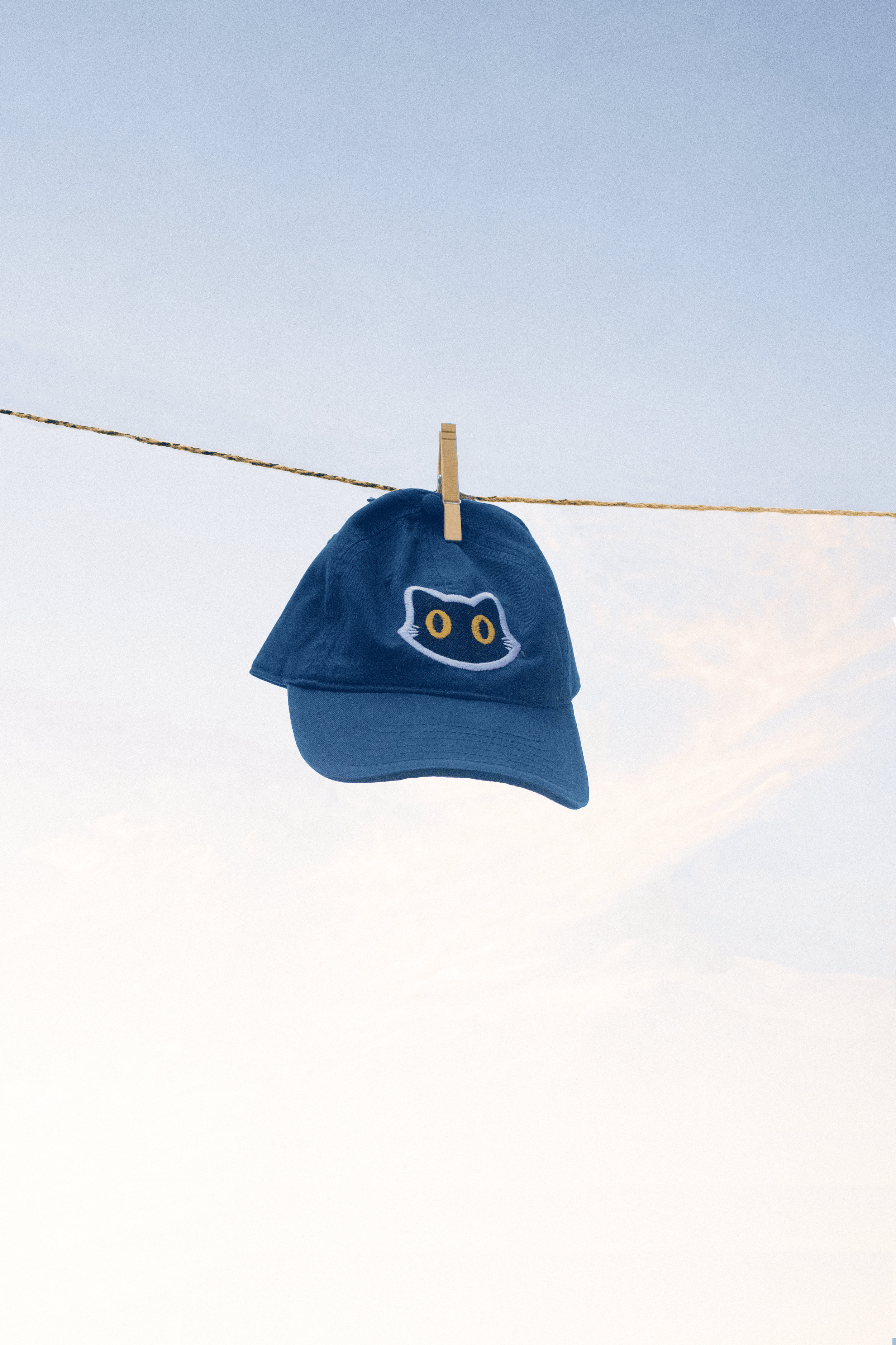 Gorra gato