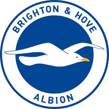 Brighton & Hove Albion football club logo featuring a seagull in flight with the club name around it.