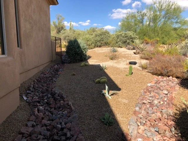 Desert backyard landscape with sparse plants, small shrubs, a cactus, and a rocky feature along the house wall. The area is sunny with a clear blue sky.