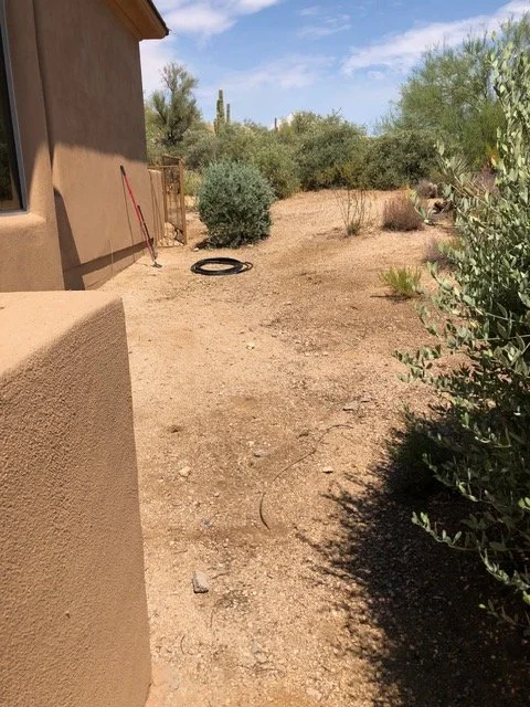 A backyard with desert landscaping, a house wall on the left, a garden hose on the ground, a tire, and sparse bushes and trees under a partly cloudy sky.