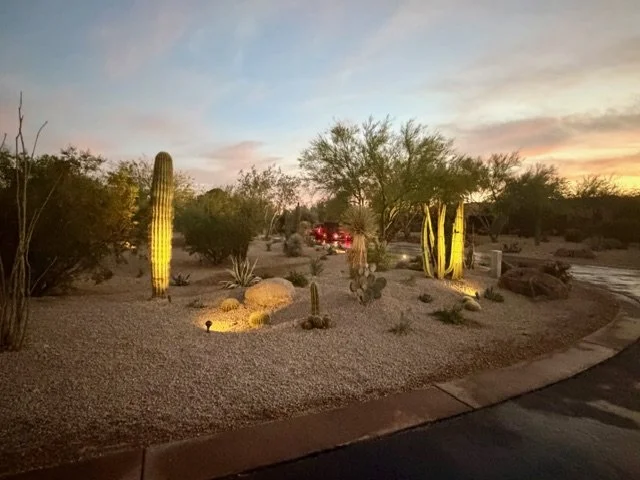 Desert landscape with saguaro cacti and smaller desert plants illuminated at dusk, with a curved driveway and a sunset sky.
