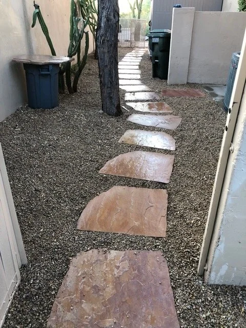 Stone pathway with large irregularly shaped flagstones leading past a tree, cactus plants, and outdoor trash bins in a backyard.