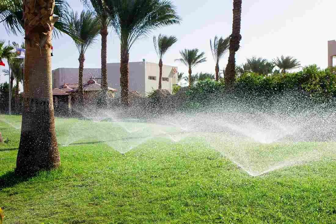 Lawn sprinklers watering grass in a park with palm trees and a building in the background.