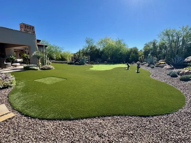 Backyard with a mini golf putting green, landscaped with rocks, cacti, and desert plants, with a house and trees in the background under a clear blue sky.