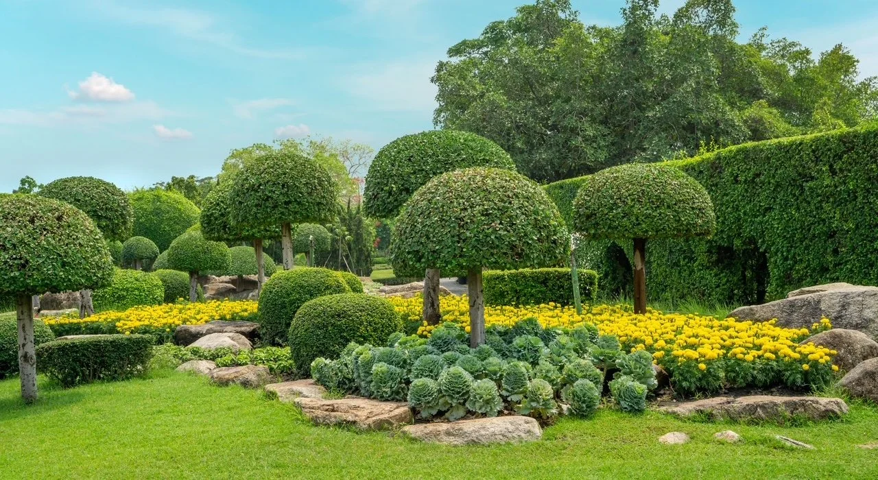 Well-maintained garden with shaped bushes, trees, yellow flowers, rocks, and green grass under a blue sky with a few clouds.