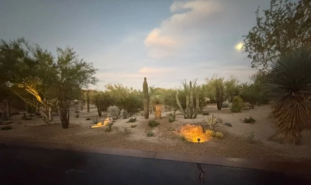 Desert landscape during dusk with cacti and desert plants, illuminated by small ground lights, under a partly cloudy sky.