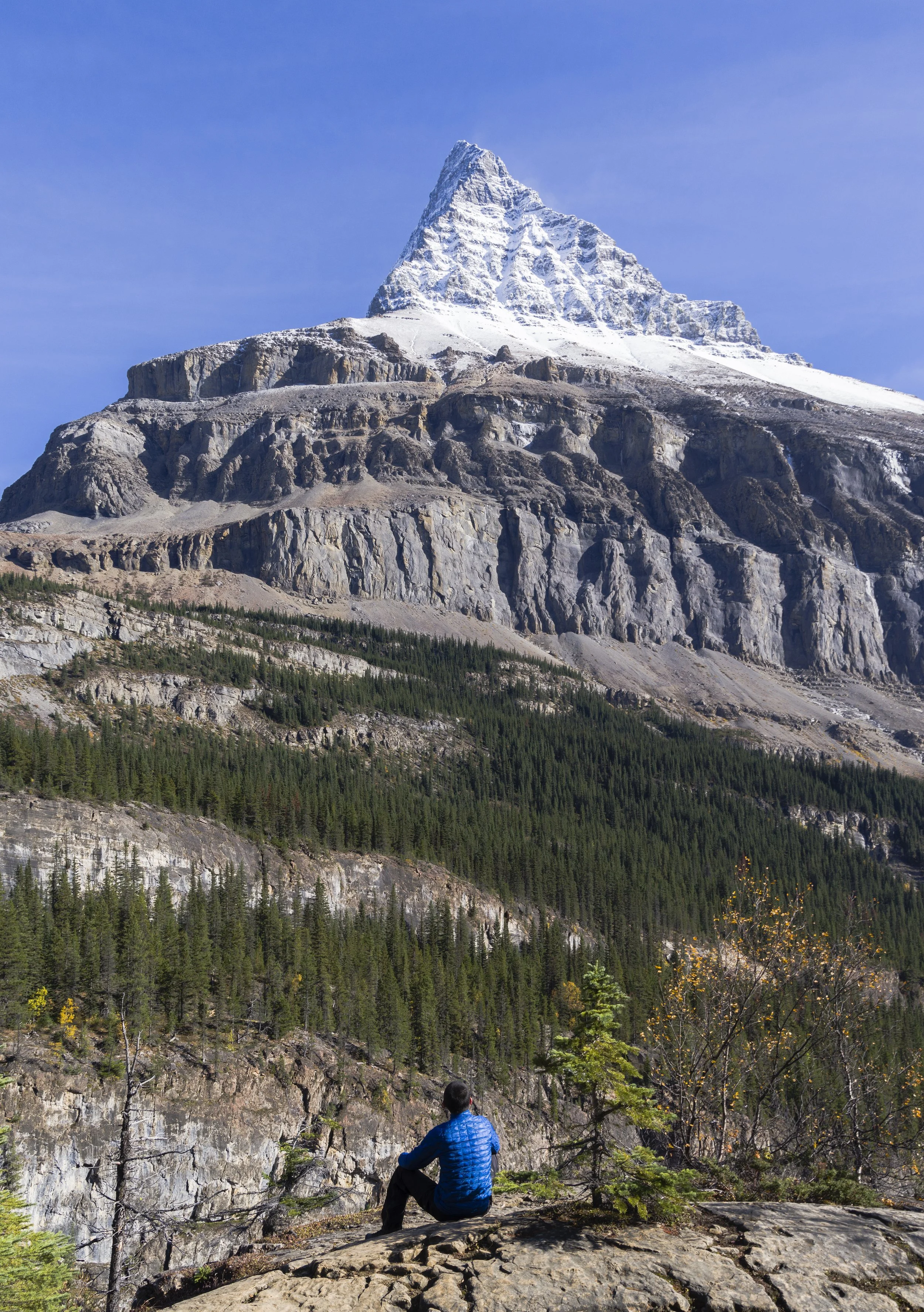 person-looking-up-at-snow-covered-mount-robson-2026-03-25-07-26-52-utc.jpg