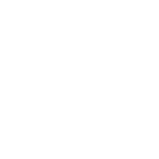 A white icon of a money bag with a dollar sign.