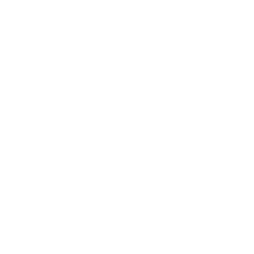A white icon of a document with a globe and magnifying glass on a black background.