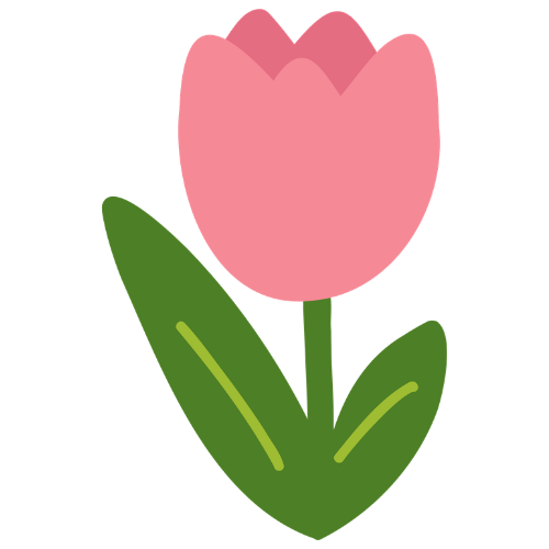 tulip