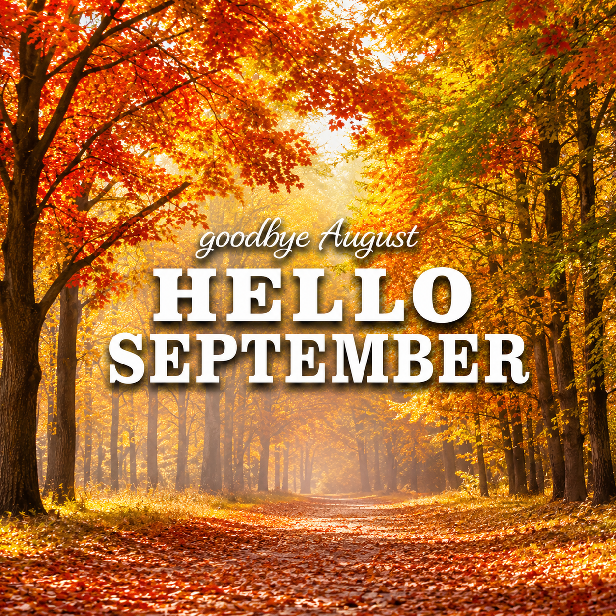 September 2025