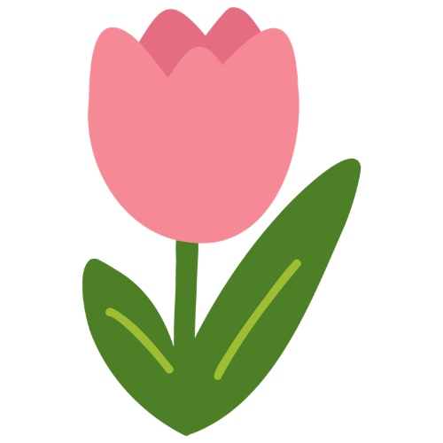 tulip