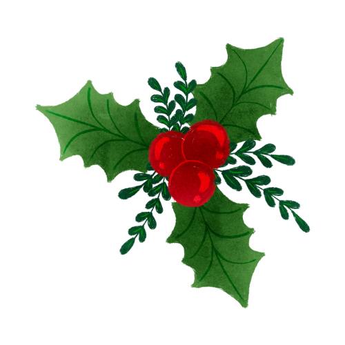 POINSETTIA