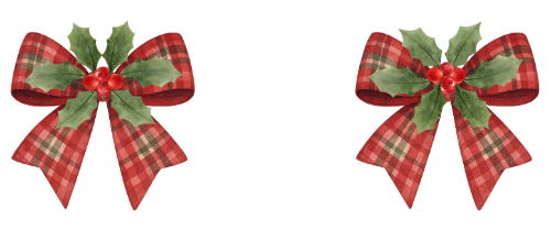 POINSETTIA & bows.