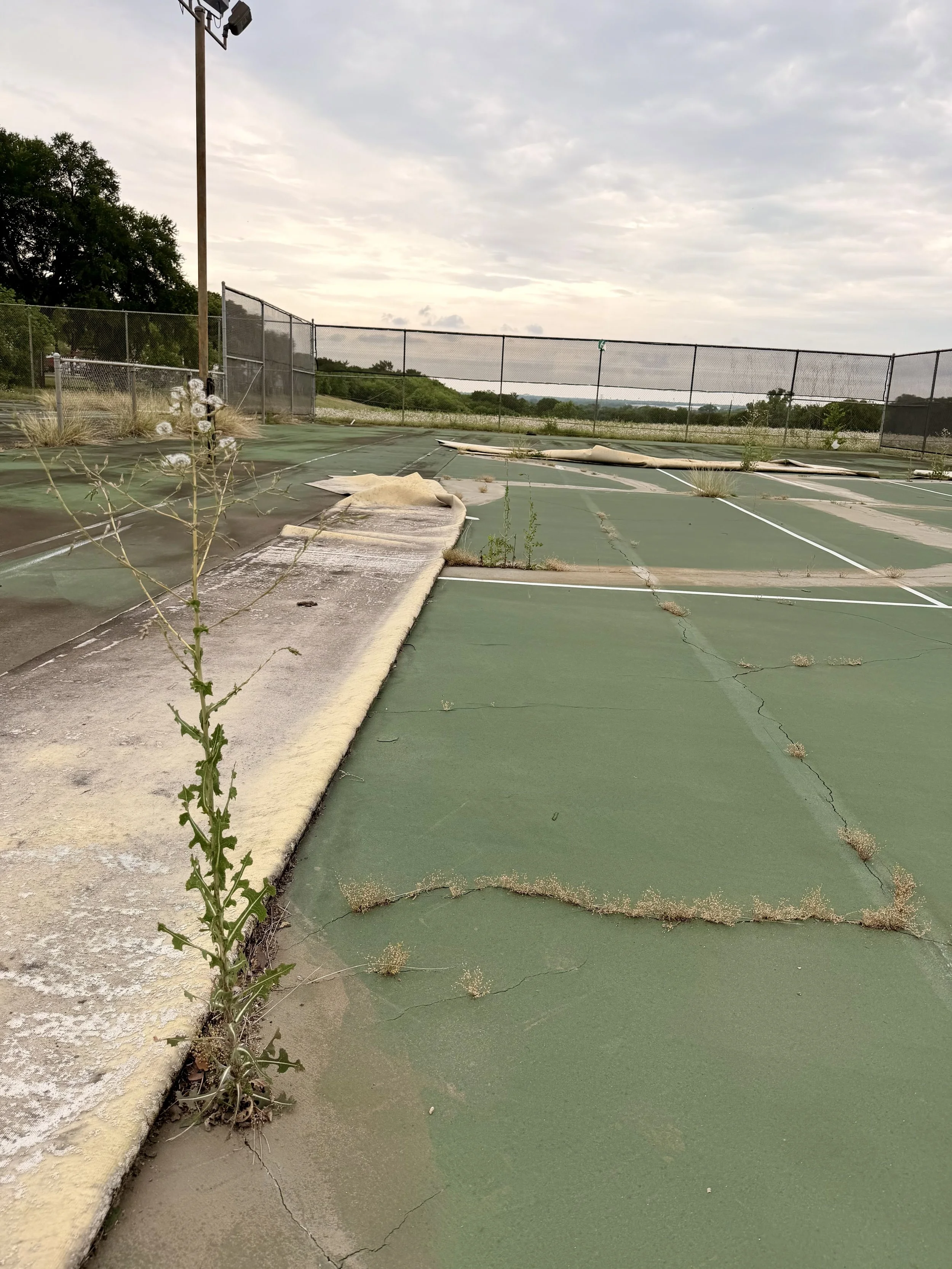 Vertical photograph showing an abandoned, cracked green sports court overgrown with tall weeds.