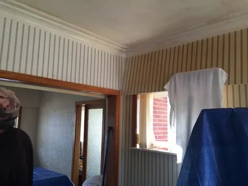 Ceiling and Wall cleaning services, Auckland
