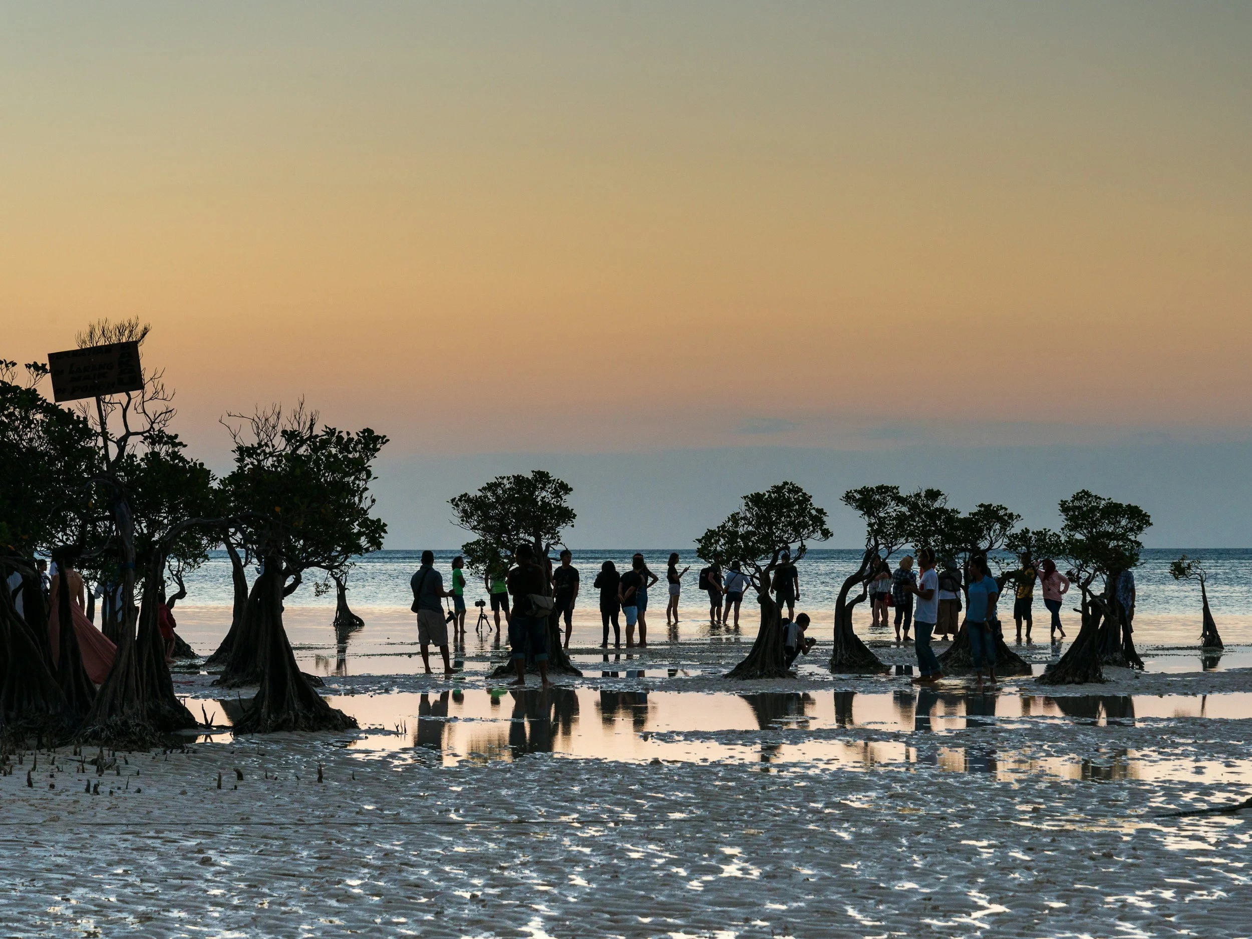 Playa al atardecer con la silueta de los árboles y la gente reunida, reflejada en la arena húmeda, con el mar en calma al fondo.