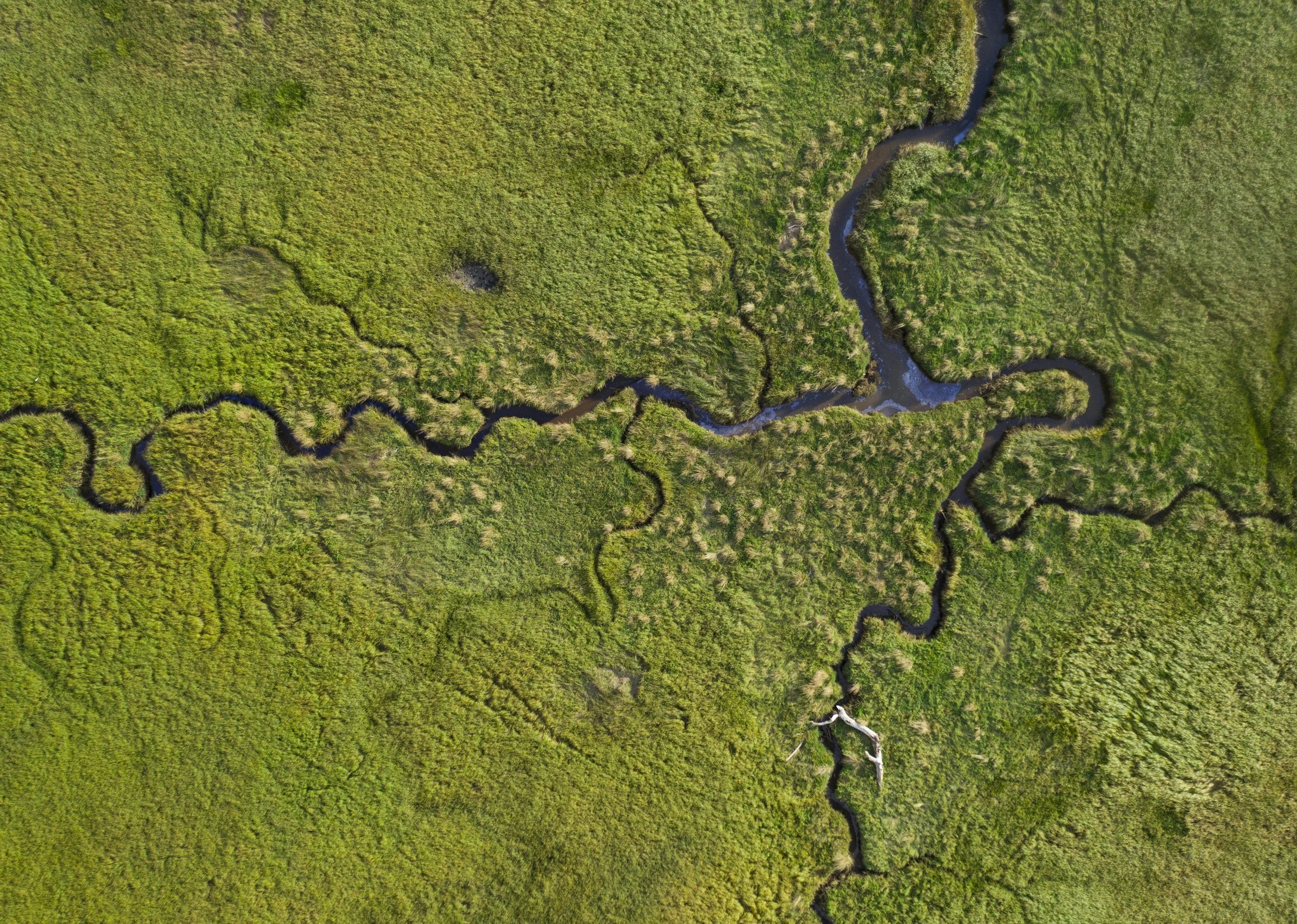 Vista aérea de un río serpenteante que atraviesa un frondoso bosque.