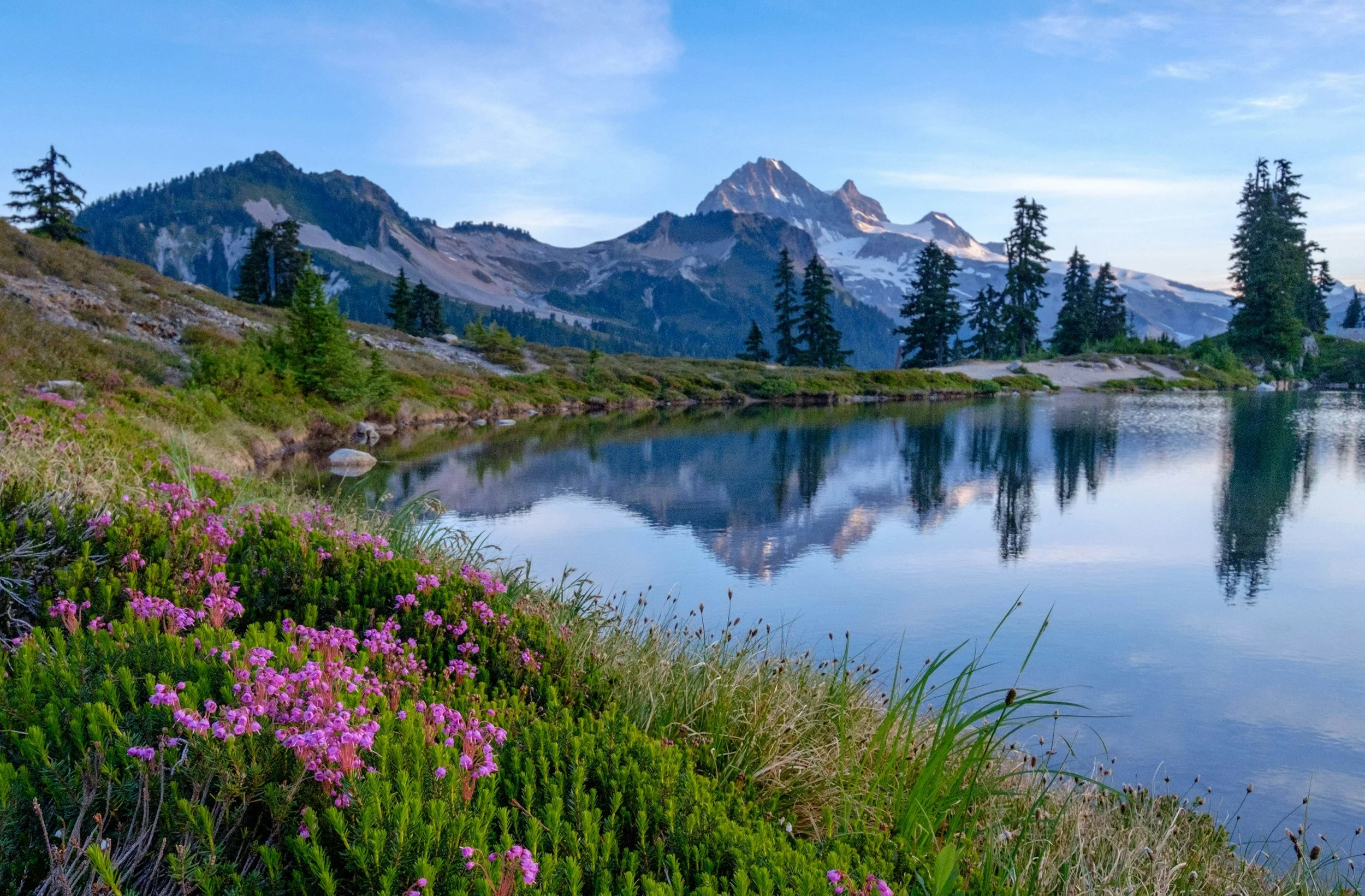 Una cordillera con picos nevados, altos árboles de hoja perenne y un lago tranquilo en el que se refleja el paisaje, con flores silvestres rosas en primer plano.