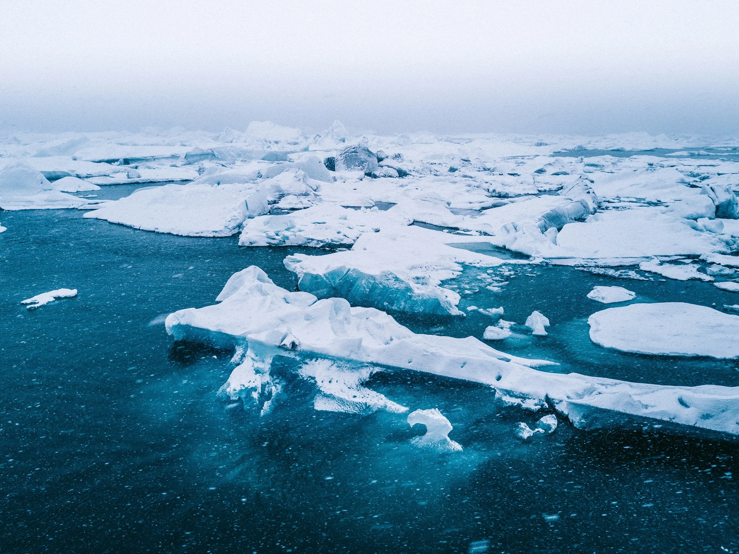Icebergs floating in icy blue water under cloudy sky, Arctic or Antarctic scene