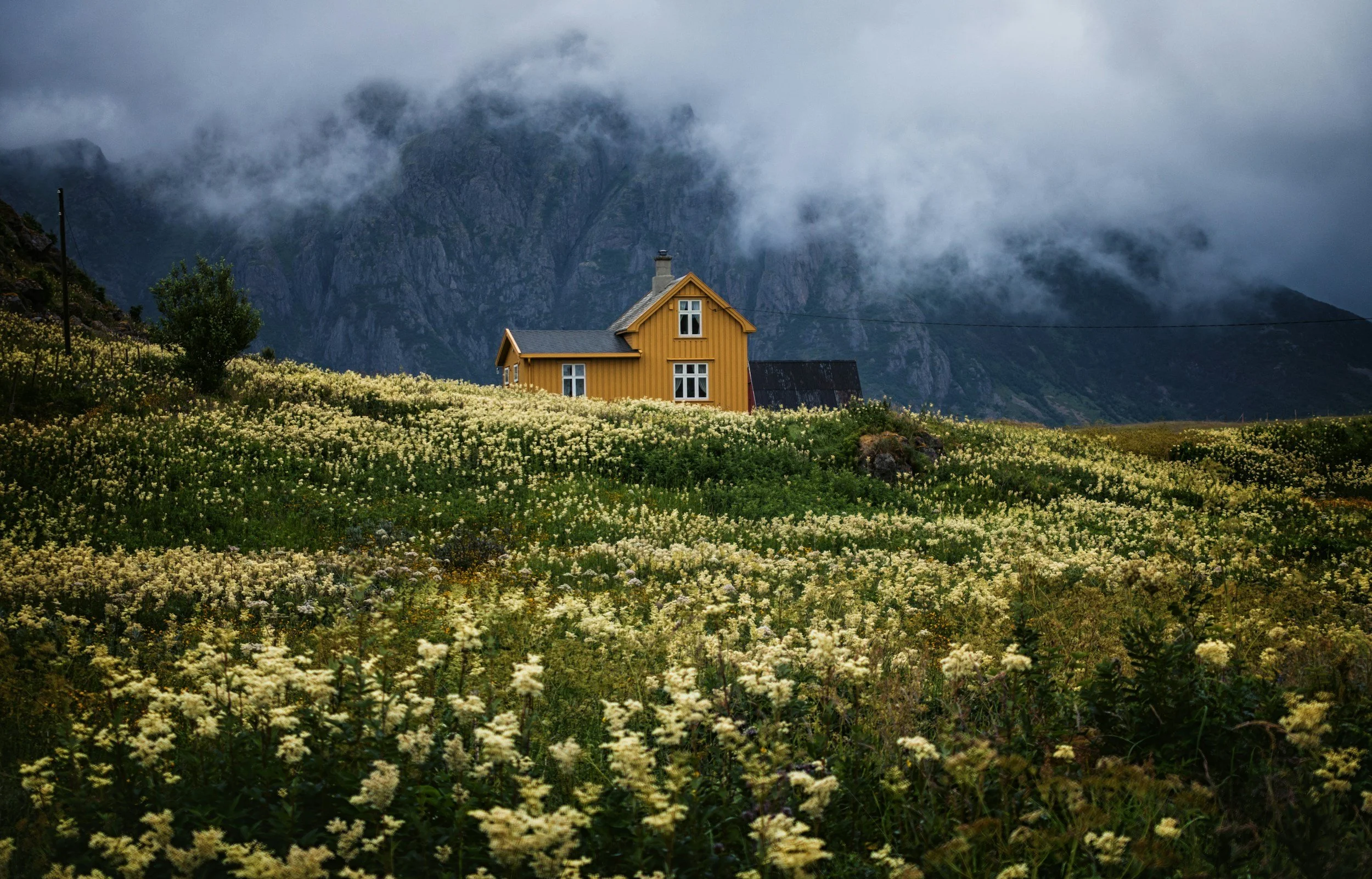 A yellow house sits on a hill covered in white wildflowers, with mountains and low clouds in the background.