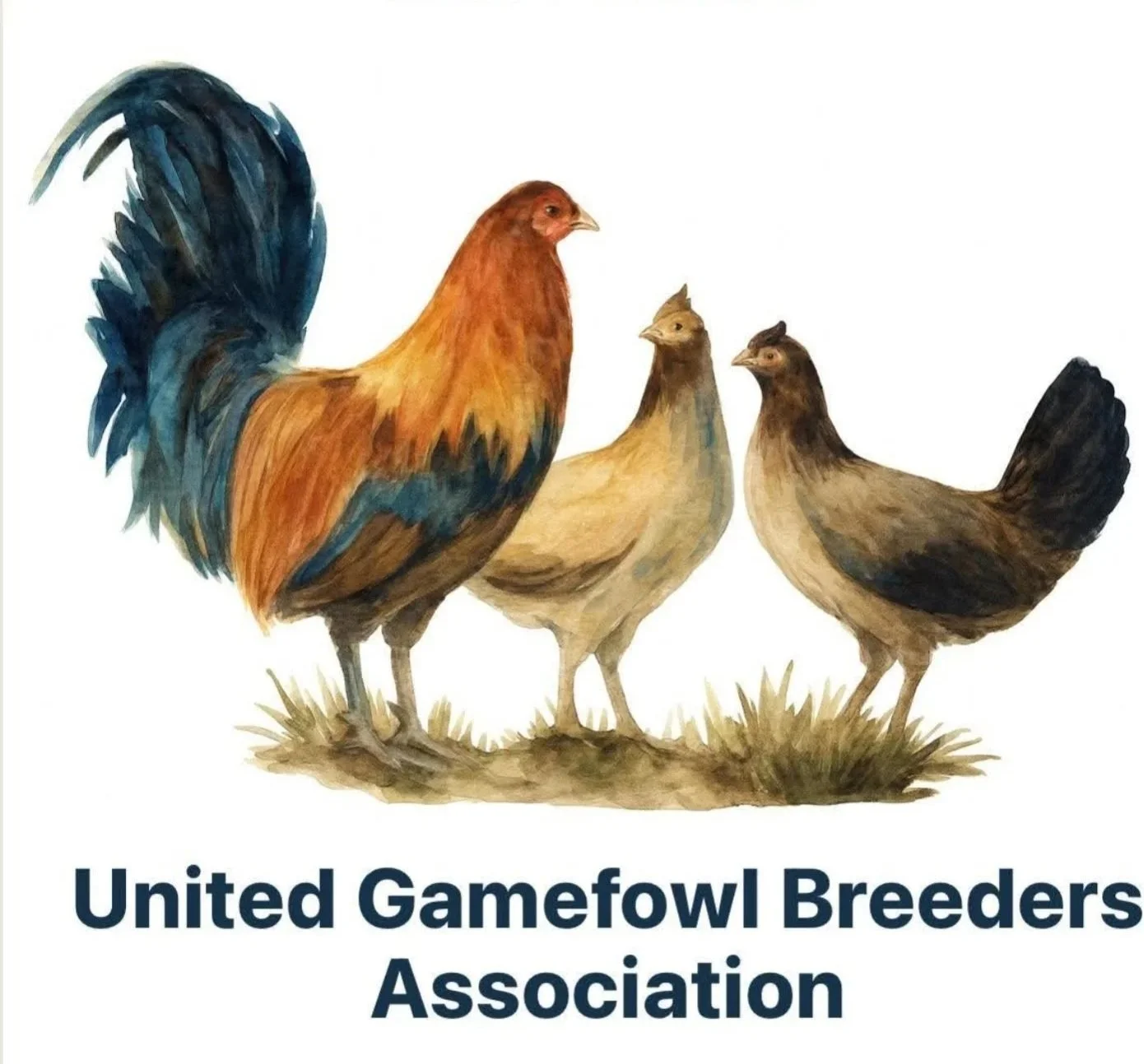 51st Annual Convention Banquet Tickets