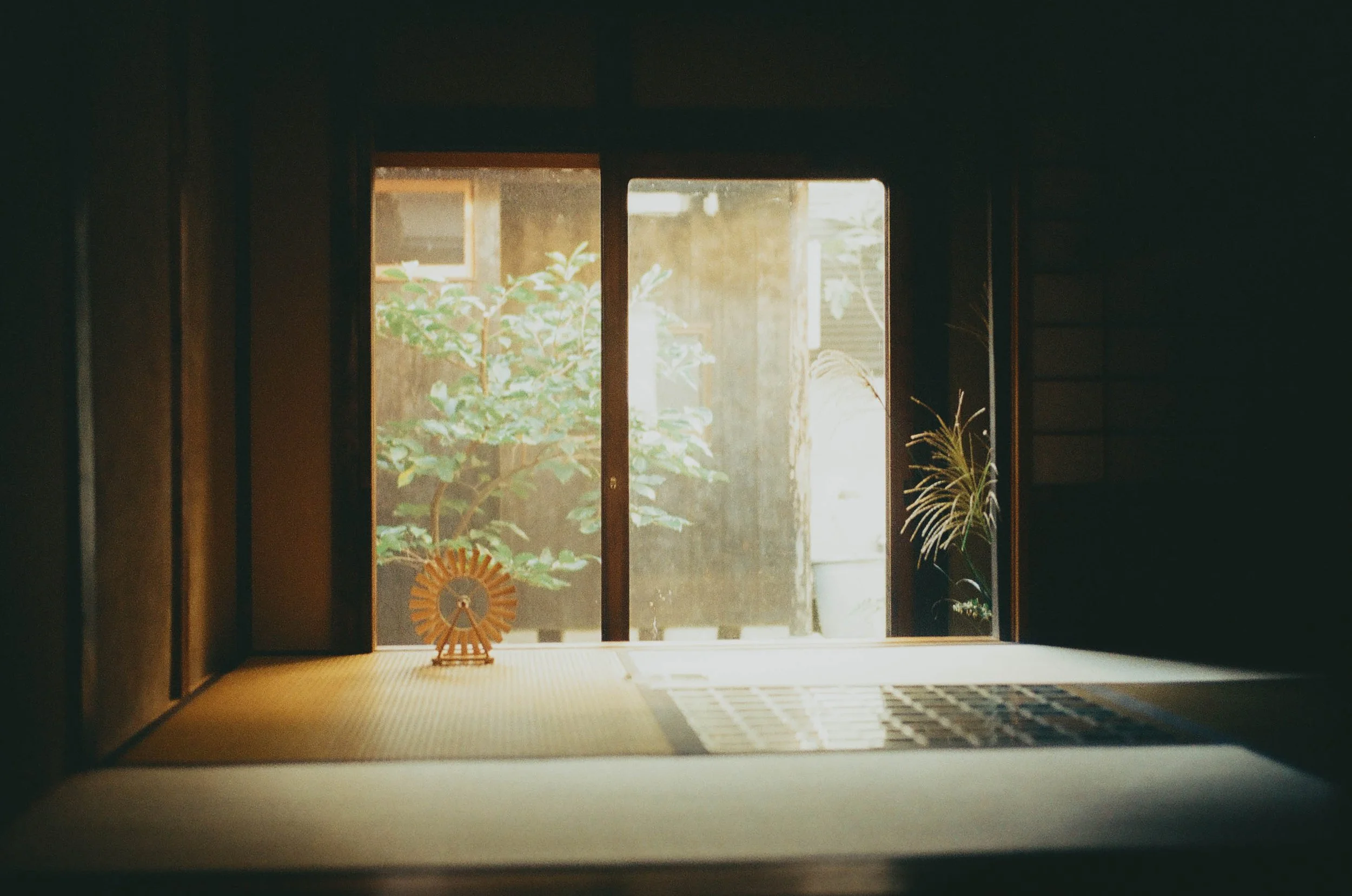 amoon (4 of 33).jpg