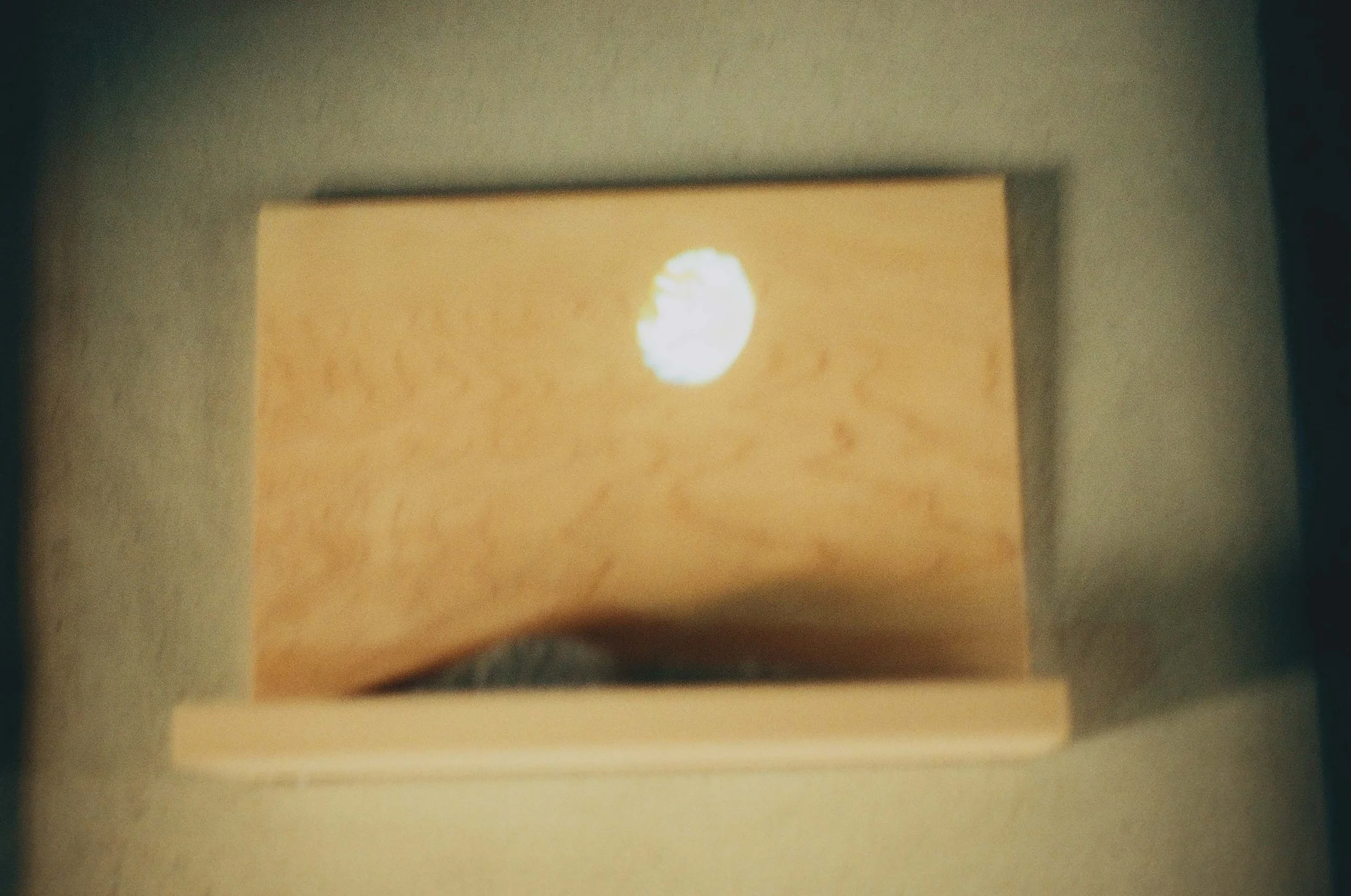 amoon (6 of 33).jpg