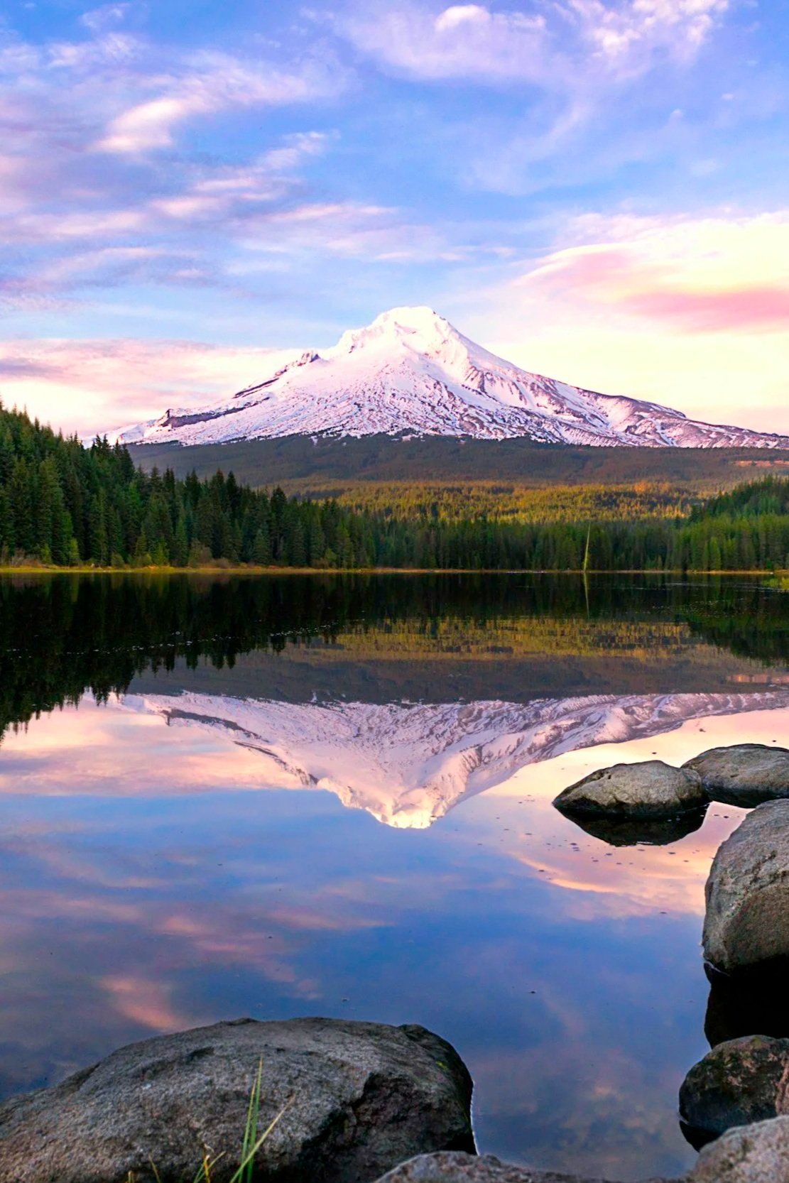Mt Hood reflecting  in Trillium lake with trees on the shoreline and rocks in the foreground during sunset.
