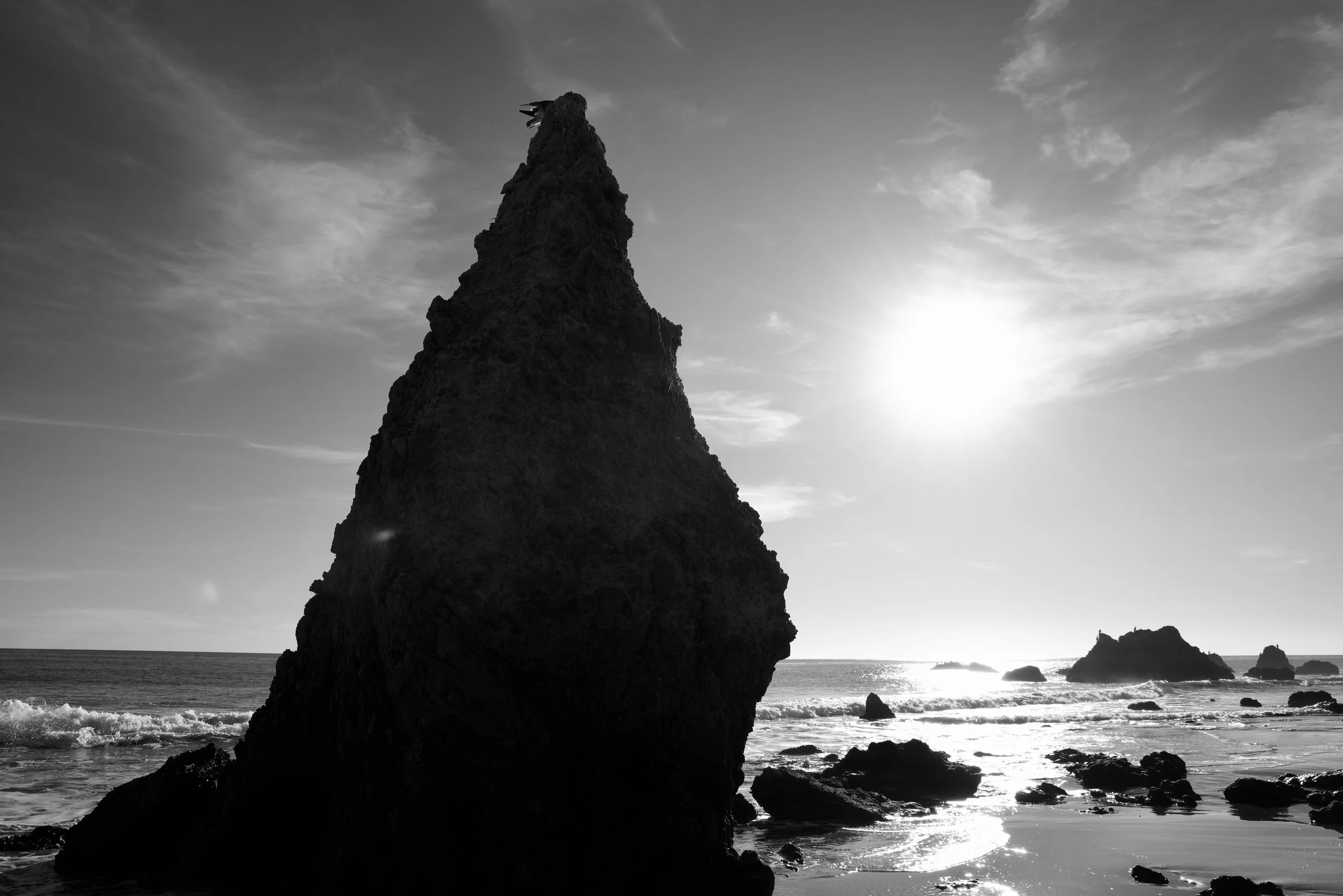 EL MATADOR.jpg