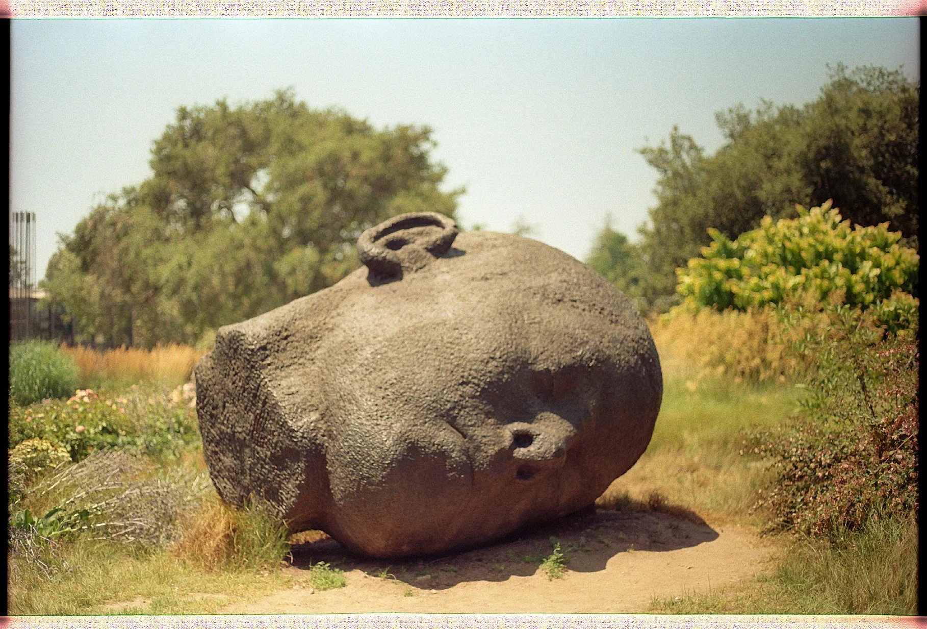 LARGE HEAD.JPG