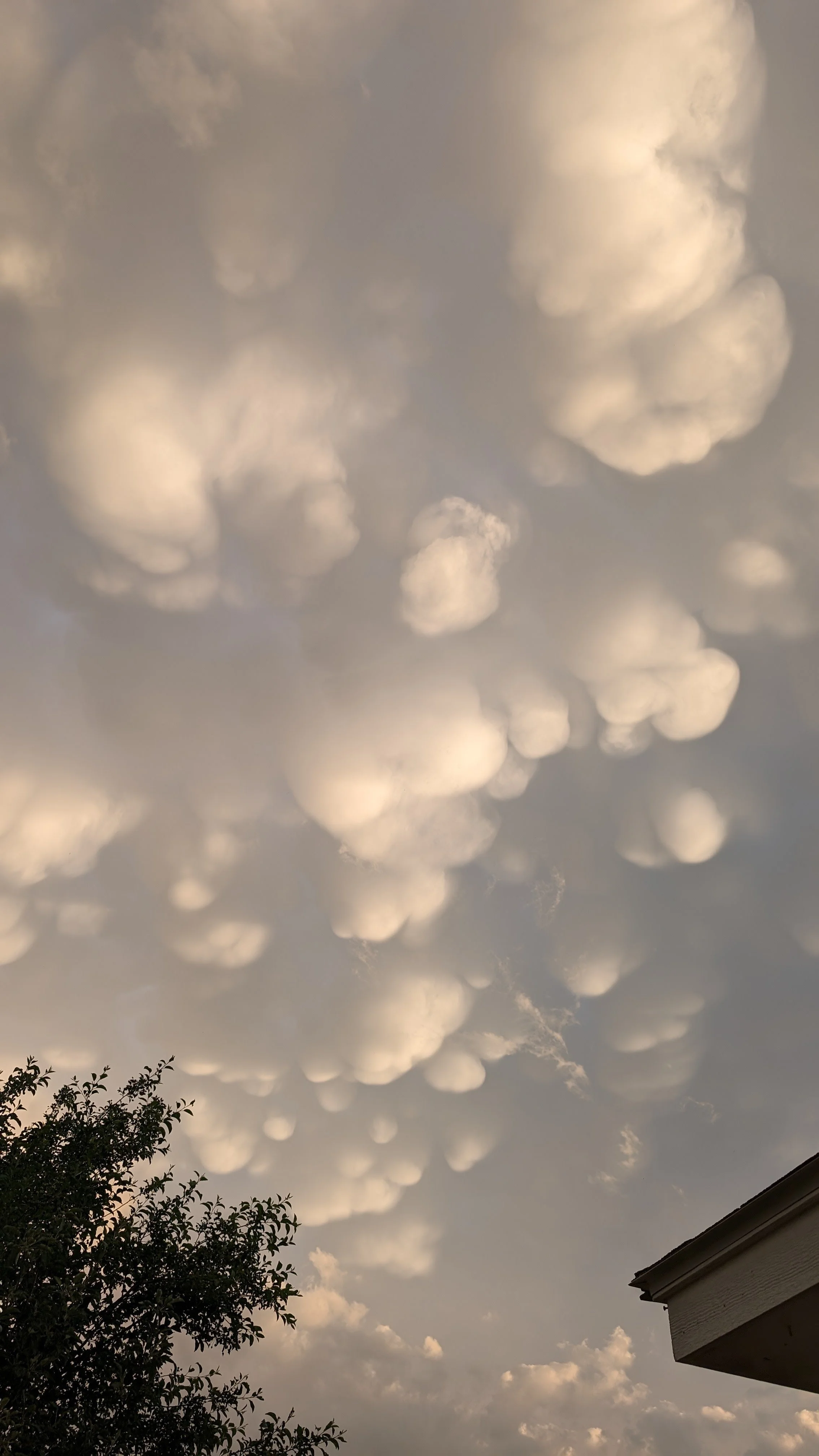 Mammatus Clouds. Altus, OK.