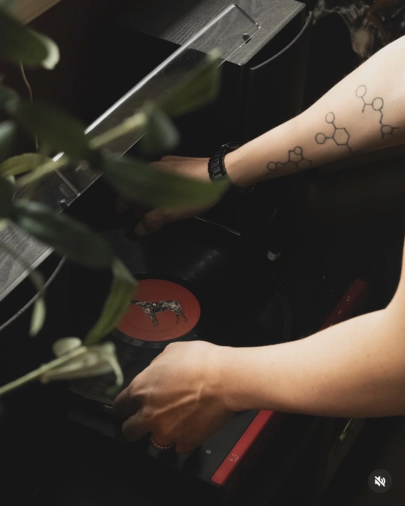 A person with a tattoo of molecular structures on their arm is using a turntable, which has a red label with a black horse design, and is spinning a vinyl record. There is a green plant in the foreground and some electronic equipment nearby.