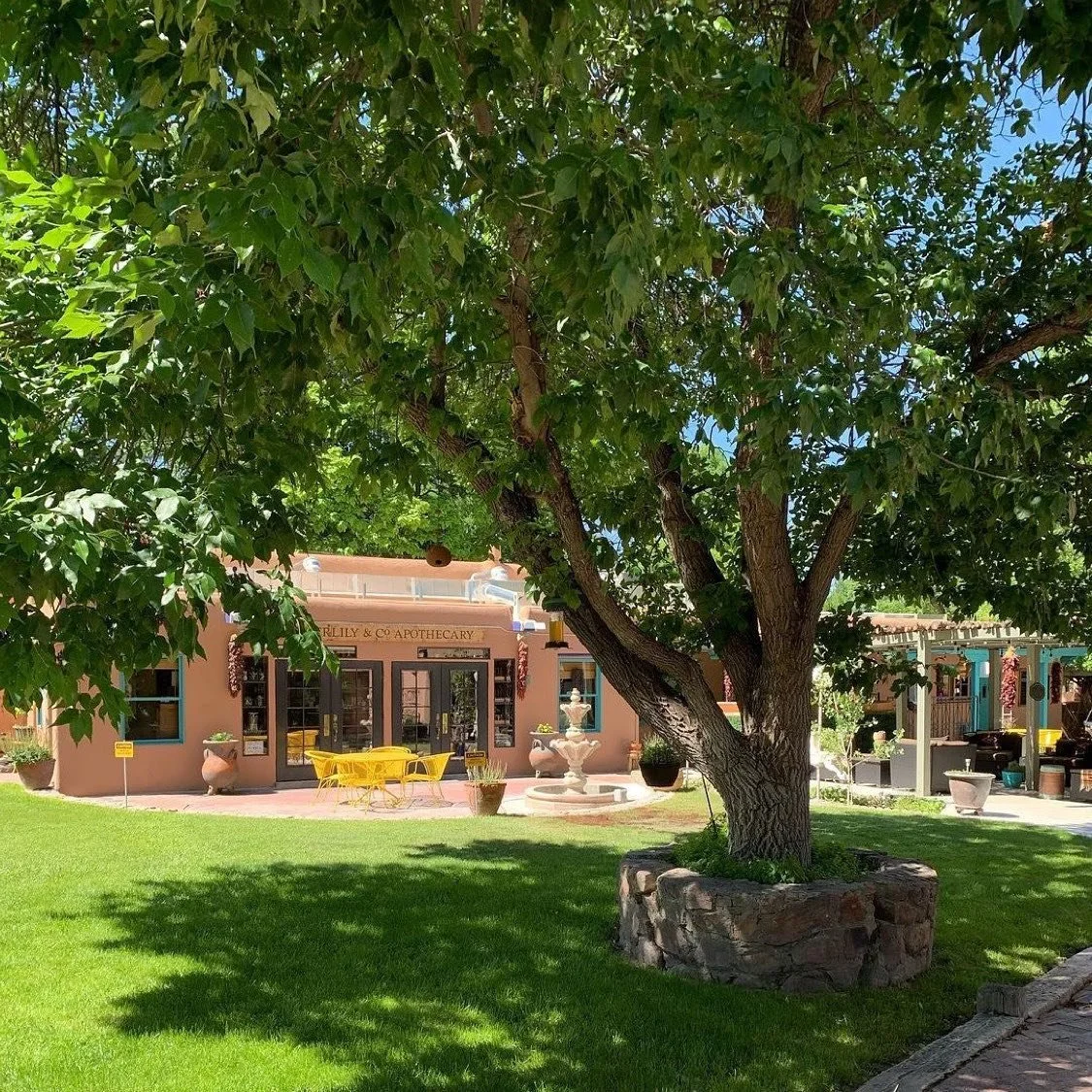Repost from @doctorinthehealinghouse
&bull;
@thehealinghouseofnewmexico getting ready for spring cleaning &amp; warm green days 🍃 🌸 
&bull;
Come visit us! 
&bull;
🙏  Small business needs all the love right now! You can find many things on our webs