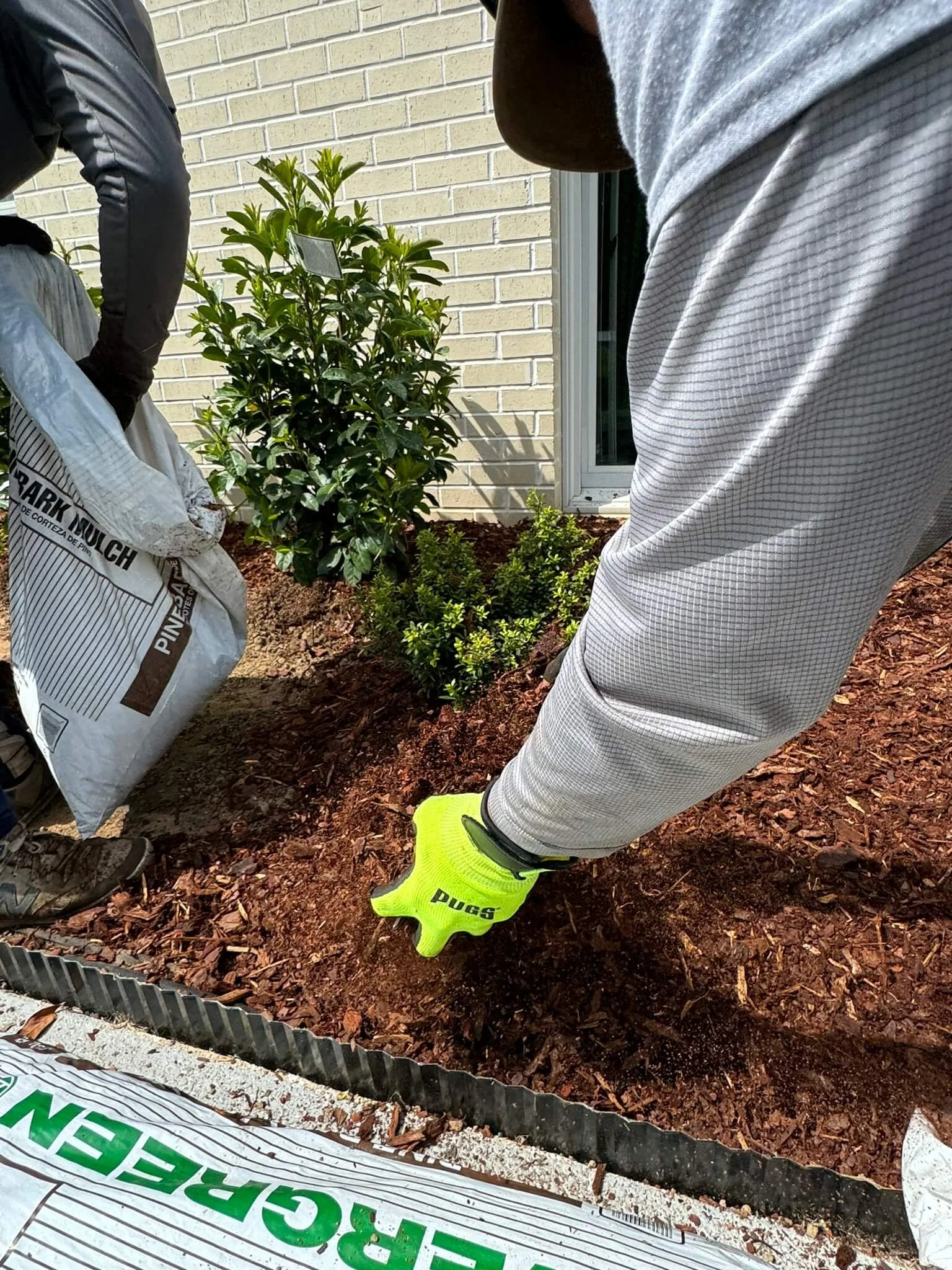 Fresh mulch installation in landscape beds at a property in Johnson City.