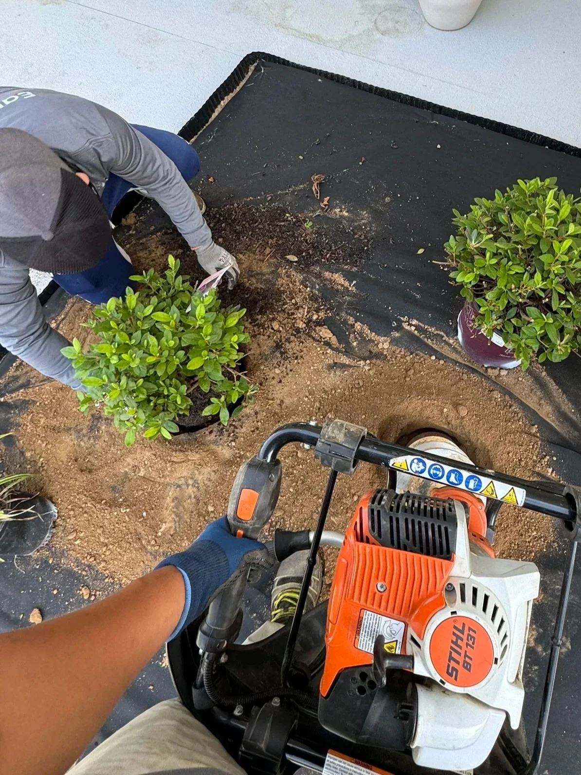 Residential landscaping project with fresh mulch, colorful plantings, and professionally maintained landscape beds in Johnson City.