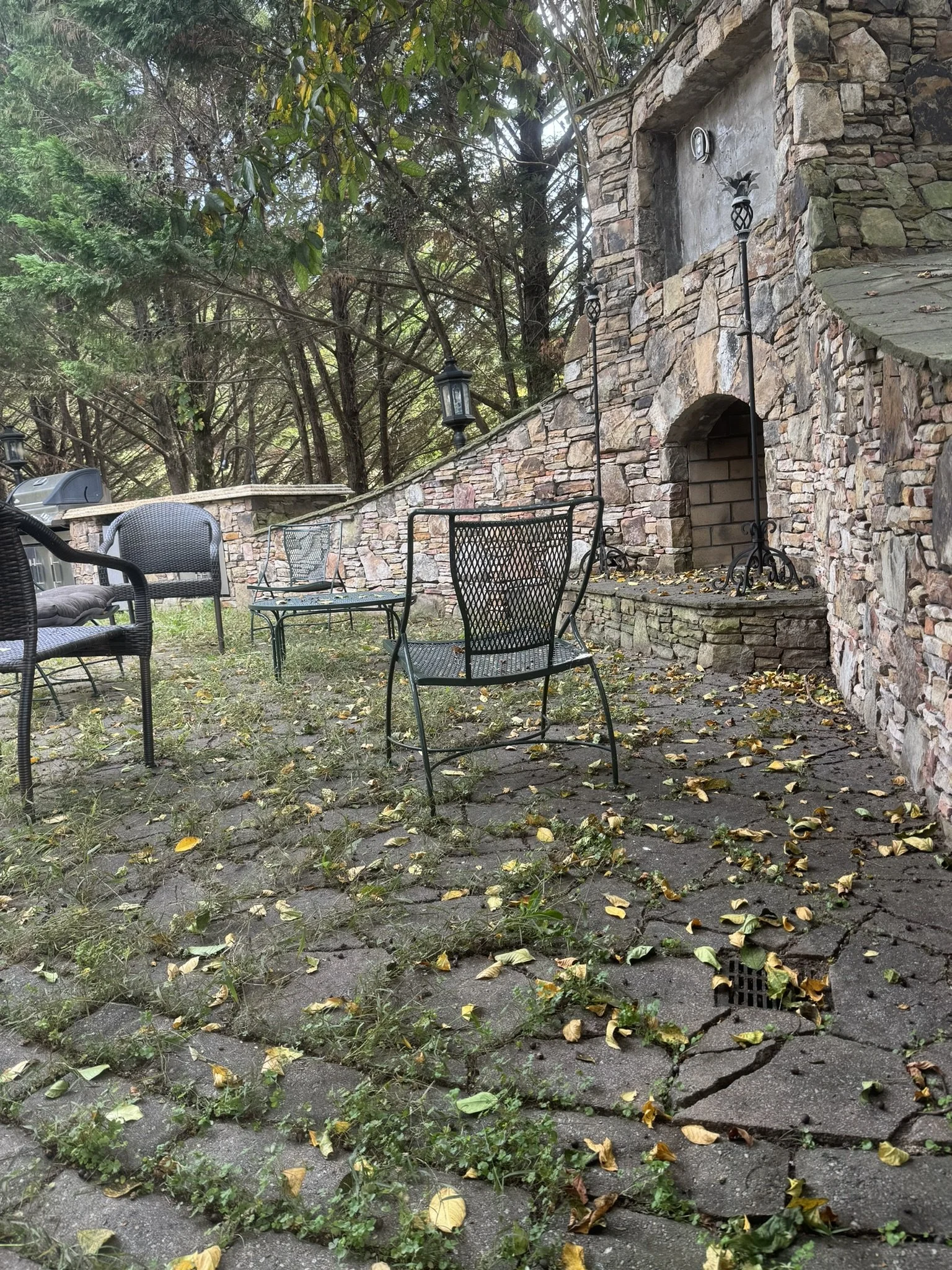 Overgrown stone patio with weeds and debris before hardscape cleanup and restoration.