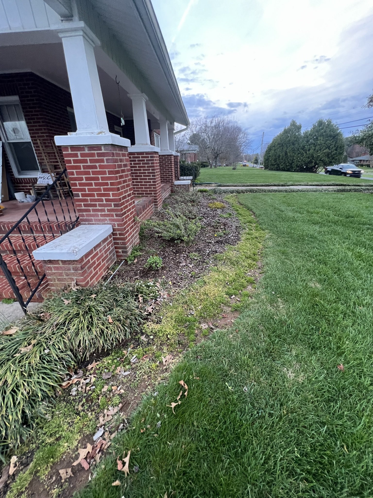 Existing front landscape bed before renovation featuring outdated plantings and worn mulch.