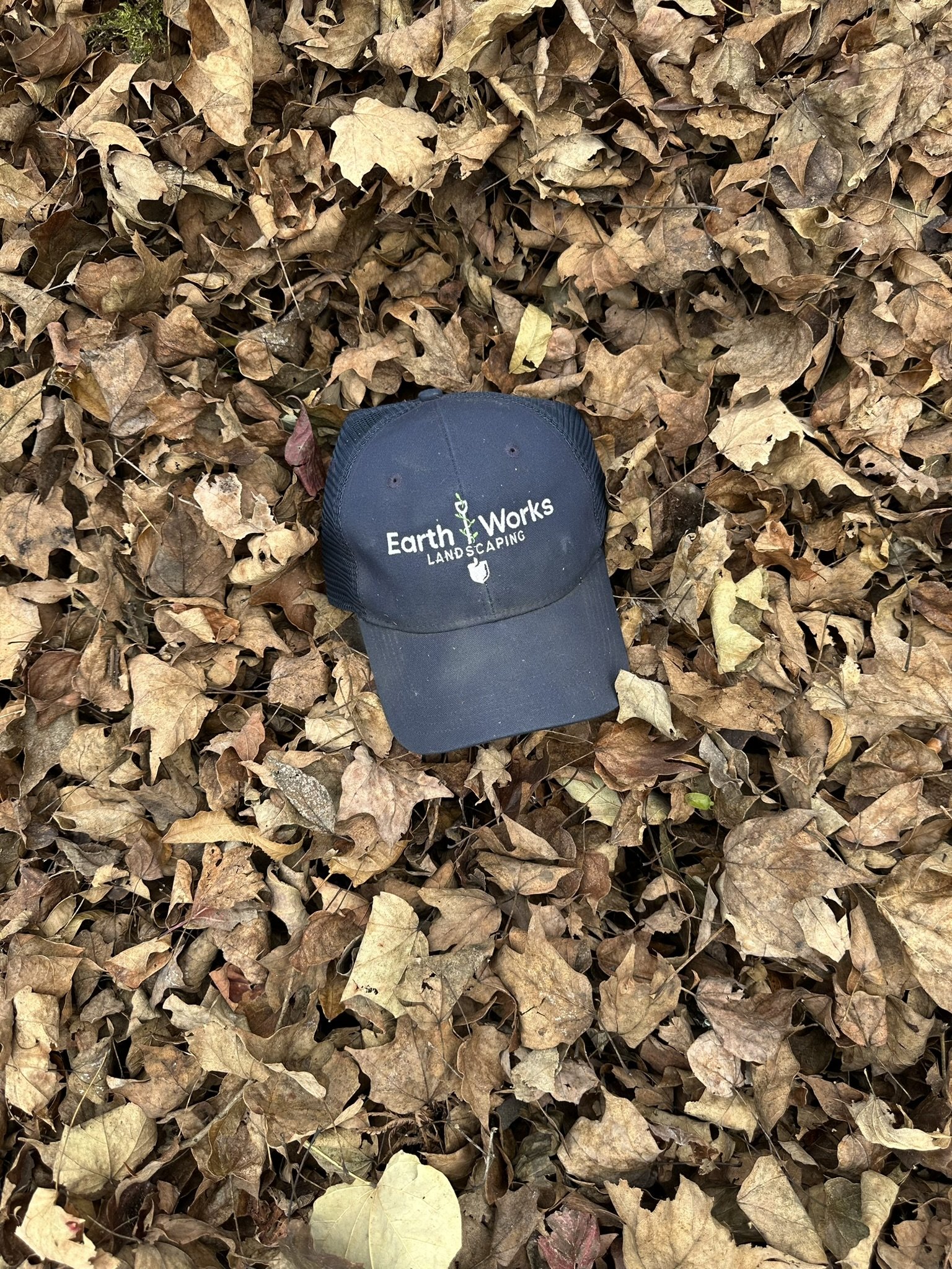 Professional leaf removal service keeping residential properties clean and healthy during the fall season.