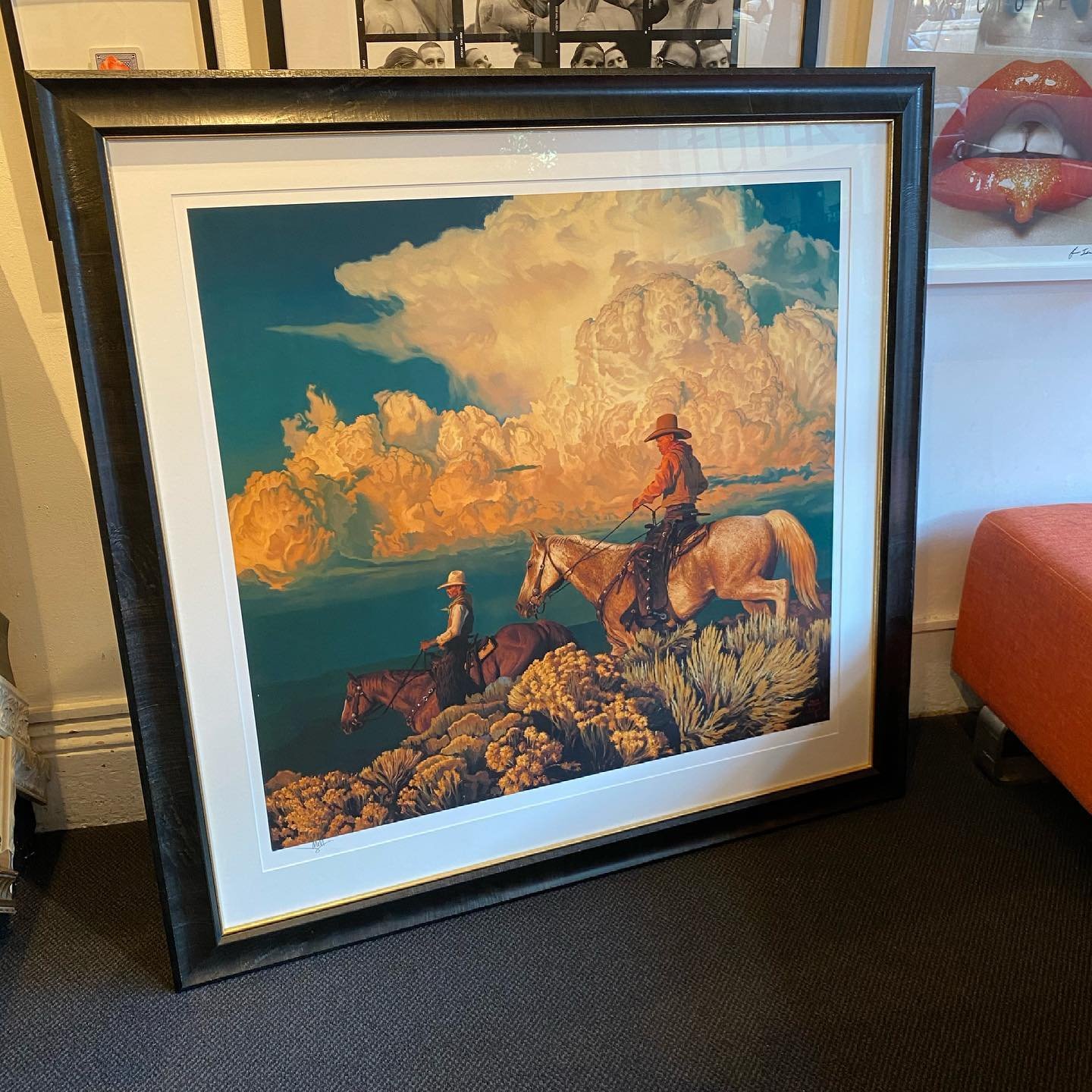 conservation framing Funktion Picture Framing Sydney