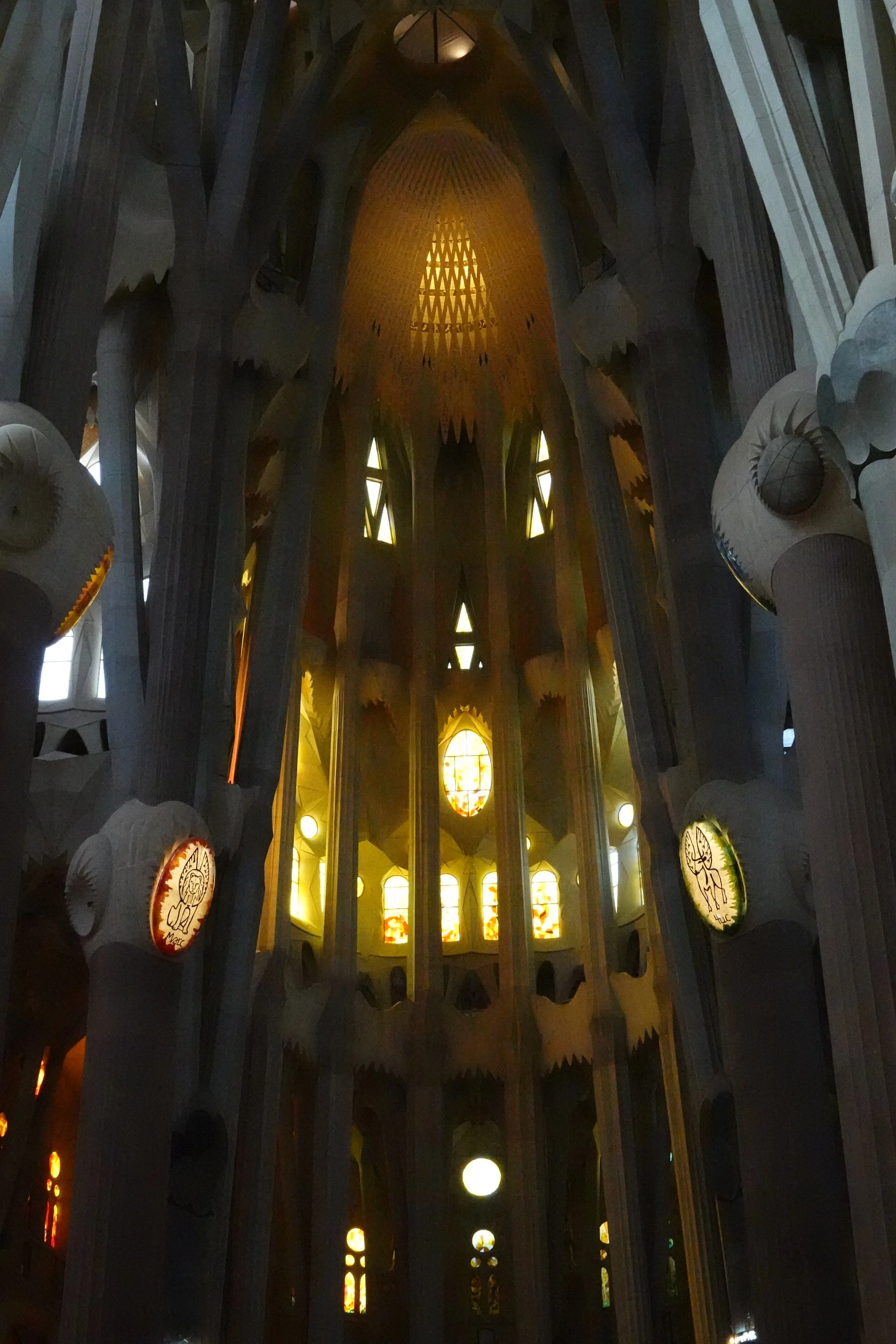 DSC00722.JPG