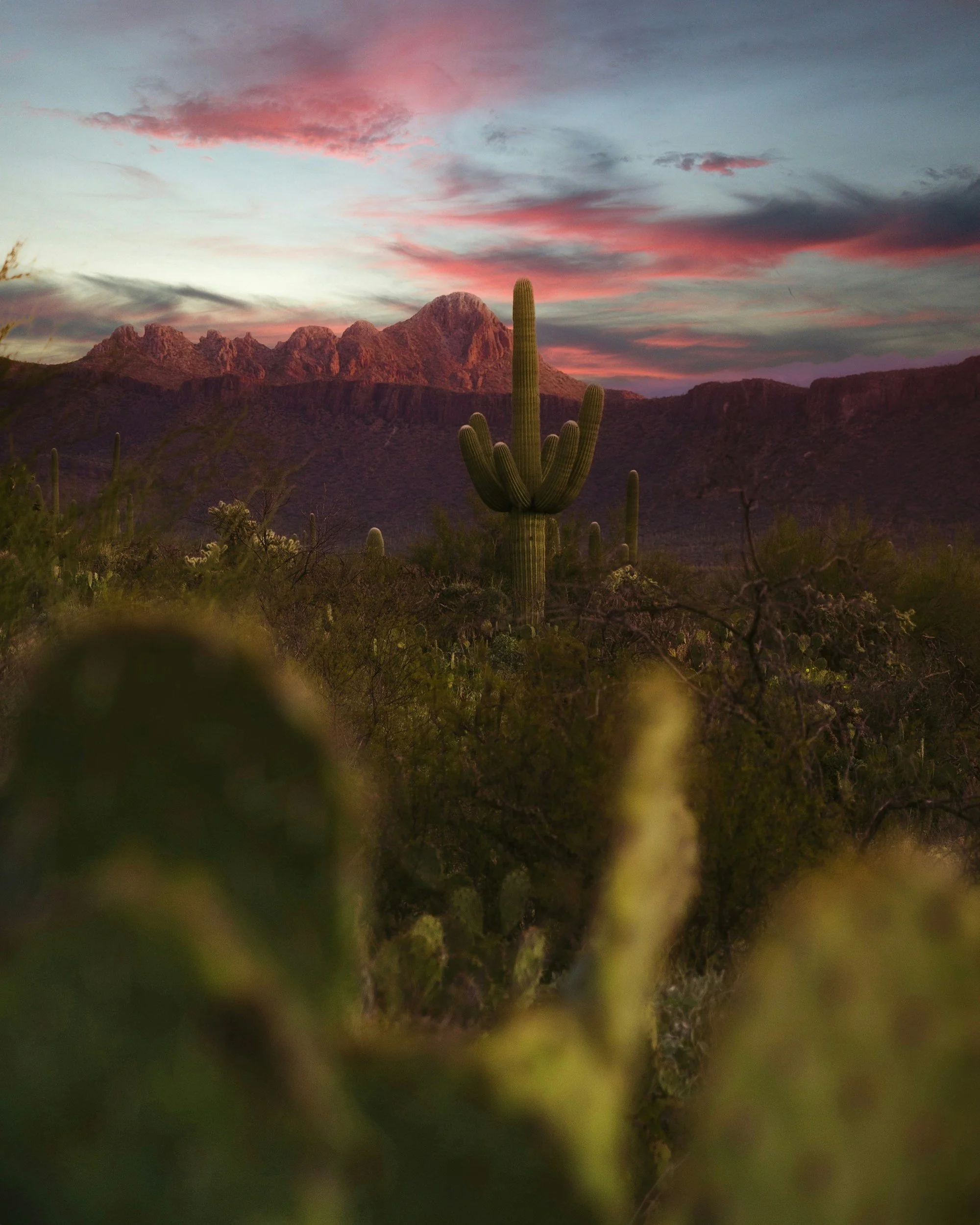 A desert landscape at sunset with a saguaro cactus in the foreground, mountains in the distance, and a colorful sky with pink, purple, and orange clouds.