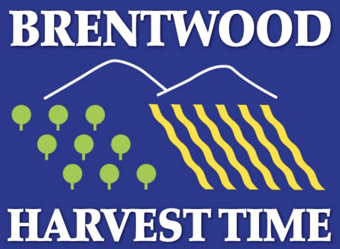 The Best Places to Go Fruit Picking in Brentwood, Ca