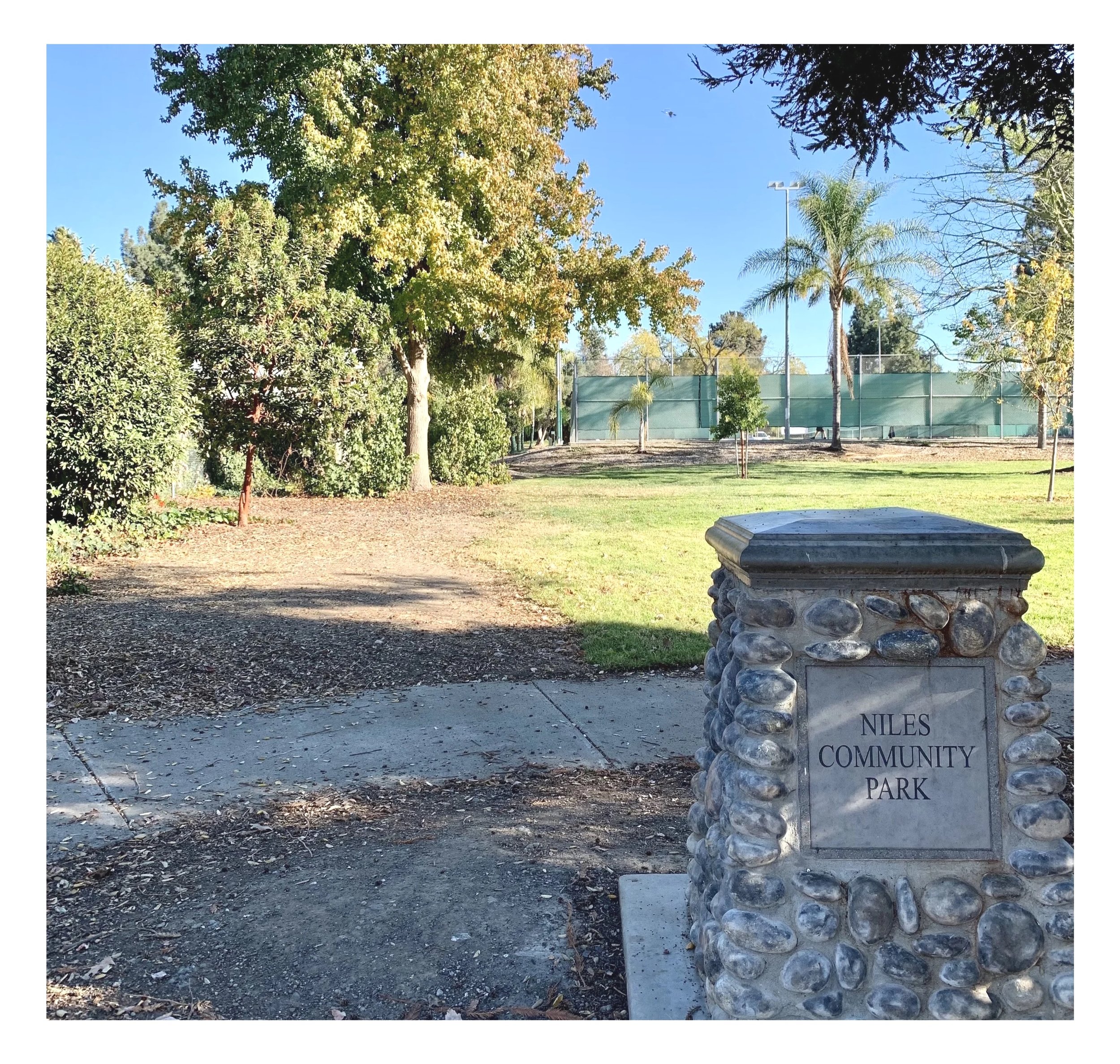 Why So Many People Love Living in Fremont, Ca