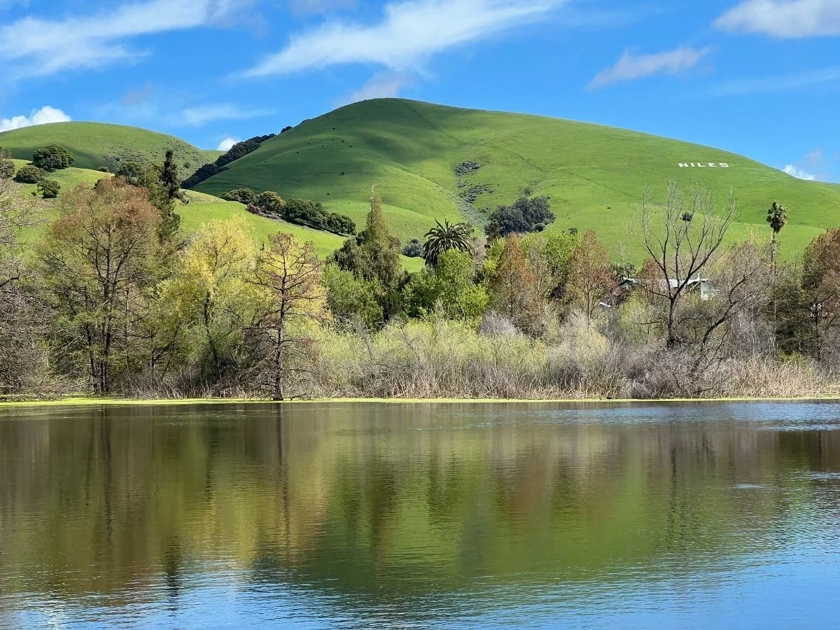 Niles Community Park and Ponds in Fremont Ca a hidden gem