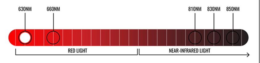 Spectrum chart showing visible red light from 630 nm to 660 nm and near-infrared light from 810 nm to 850 nm.