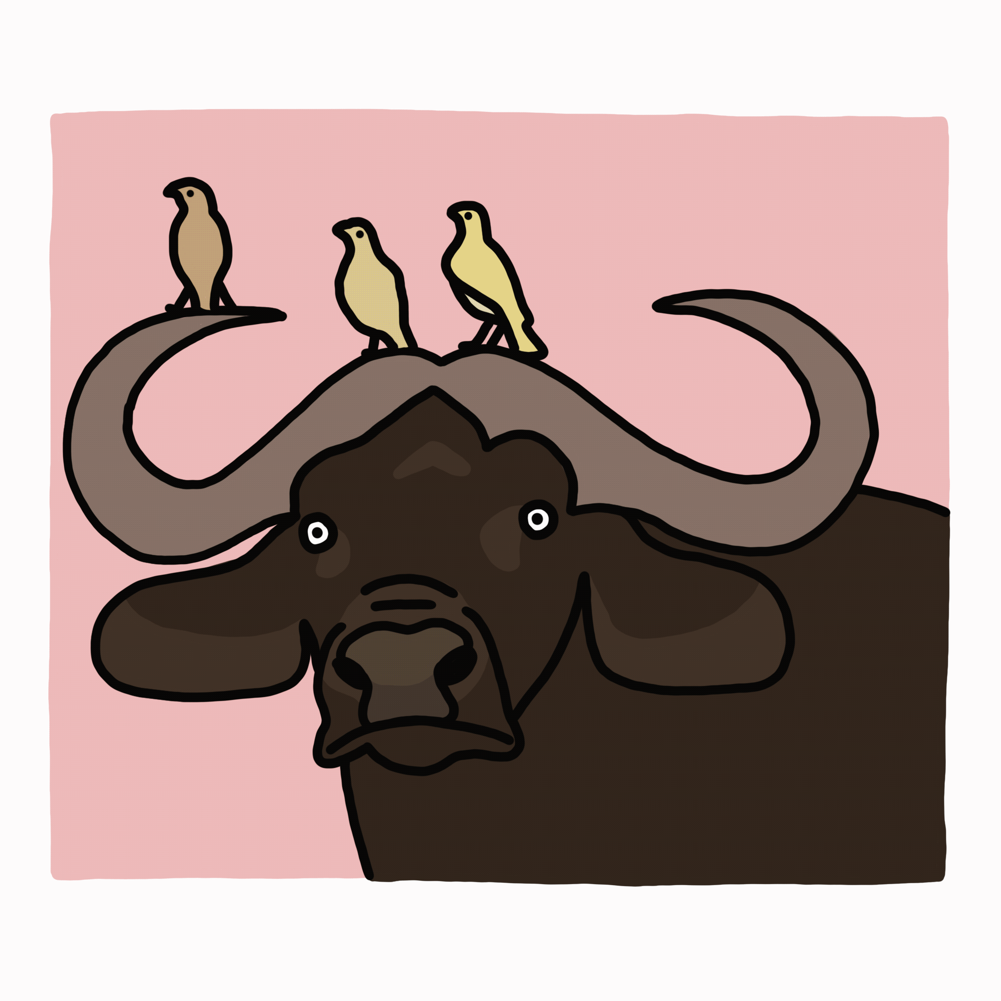 Untitled_Artwork.gif
